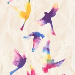 Vliestapete - Vögel - bunt - 10 Meter