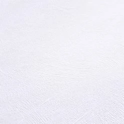 profitan Vliestapete - weiß - Putzstruktur - 15 Meter