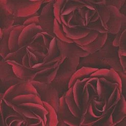 Vliestapete - Rosen - dunkelrot - 10 Meter