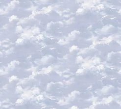 Papiertapete DEKORA NATUR 6 - Himmel - 10 Meter