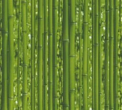 Papiertapete SIMPLY DECOR - Bambus - 10 Meter