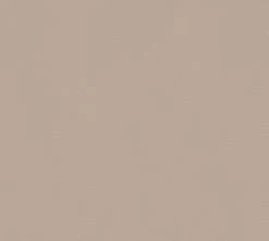 Vliestapete MEISTERVLIES 5 - hellbraun - uni - 10 Meter