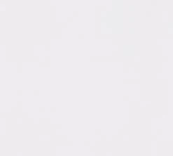 Papiertapete LOVELY FRIENDS - weiß - 10 Meter