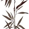 Panel POP.UP - Pflanze - braun-weiß - 2,5 Meter