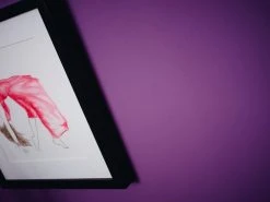 Vliestapete MEISTERVLIES 4 PRO - weiß - 25 Meter 6 Vliestapete MEISTERVLIES 4 PRO - weiß - 25 Meter -Baumarkt Verkaufsgeschäft 9001828500 03 1600Wx1600H