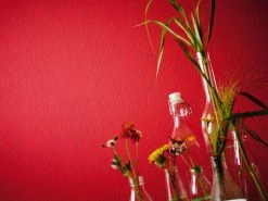 Vliestapete MEISTERVLIES 4 PROTECT PRO - weiß - 25 Meter -Baumarkt Verkaufsgeschäft 9001832100 03 1600Wx1600H