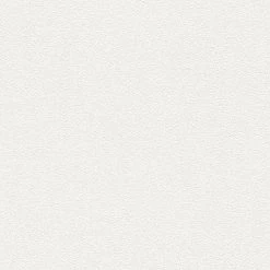 Vliestapete MEISTERVLIES 4 PROTECT PRO - weiß - 25 Meter