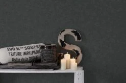 Vliestapete - schwarz - 10 Meter 7 Vliestapete - schwarz - 10 Meter -Baumarkt Verkaufsgeschäft 9003745200 04 1600Wx1600H