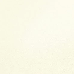 Vliesapete - metallic weiß-grau - Uni - 10 Meter -Baumarkt Verkaufsgeschäft 9003750300 04 1600Wx1600H