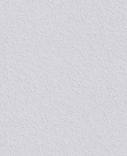 Erfurt Vlies-Rauhfaser RUSTIC - weiß - 10 Meter 7 Erfurt Vlies-Rauhfaser RUSTIC - weiß - 10 Meter -Baumarkt Verkaufsgeschäft 9004273700 04 1600Wx1600H