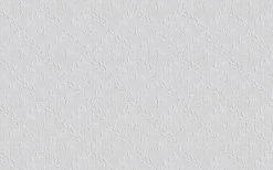 Erfurt Papierprägetapete Novaboss 393 - weiß - 10,05 Meter