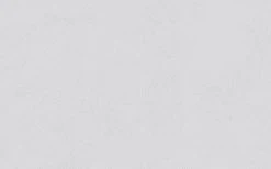 Erfurt Vliesprägetapete MAXX Economy Ornato 101 - weiß - 12,5 Meter