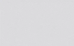 Erfurt Vliesprägetapete MAXX Premium Espina 203 - weiß - 12,5 Meter