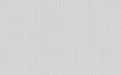 Erfurt Vliesprägetapete MAXX Premium Akcent 210 - weiß - 12,5 Meter