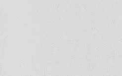 Erfurt Vliesprägetapete MAXX Premium Aranit 212 - weiß - 12,5 Meter