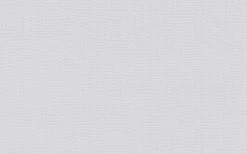 Erfurt Vliesprägetapete MAXX Superior Mello 301 - weiß - 12,5 Meter