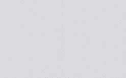 Erfurt Vliesprägetapete MAXX Superior Bara 305 - weiß - 12,5 Meter