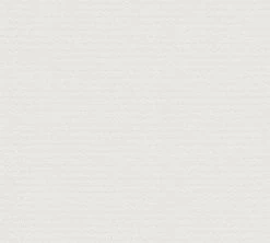 A.S. Creation Vliestapete ASIAN FUSION - creme-grau - 10 Meter