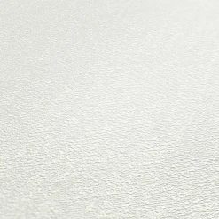 Vliestapete ATTRACTIVE - weiß - 10 Meter -Baumarkt Verkaufsgeschäft 9004505800 04 1600Wx1600H