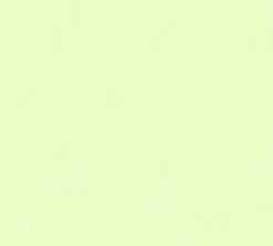 Vliestapete LITTLE STARS - grün - 10 Meter