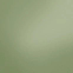 Vliestapete NEW LIFE - grün-khaki - 10 Meter -Baumarkt Verkaufsgeschäft 9004533700 04 1600Wx1600H