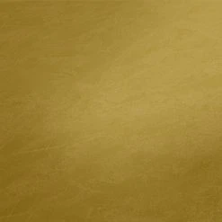 A.S. Creation Vliestapete NEW LIFE - gelb-ocker - 10 Meter -Baumarkt Verkaufsgeschäft 9004535900 04 1600Wx1600H