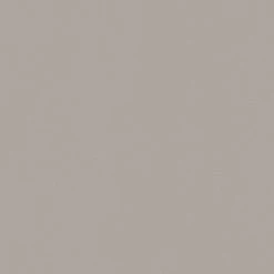 Vliestapete TRENDWALL - beige - 10 Meter -Baumarkt Verkaufsgeschäft 9004546900 03 1600Wx1600H