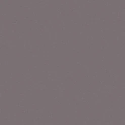 Vliestapete TRENDWALL - braun - 10 Meter -Baumarkt Verkaufsgeschäft 9004547200 03 1600Wx1600H