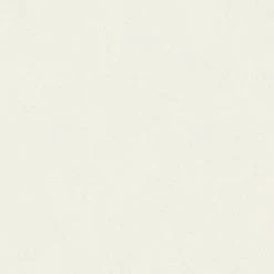 Vliestapete TRENDWALL - creme - 10 Meter -Baumarkt Verkaufsgeschäft 9004547400 03 1600Wx1600H