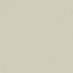 Vliestapete TRENDWALL - braun - 10 Meter -Baumarkt Verkaufsgeschäft 9004548000 03 1600Wx1600H