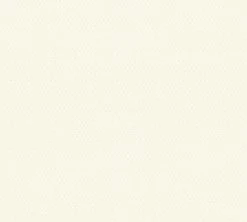 Vliestapete TRENDWALL - weiß - 10 Meter