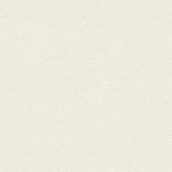 A.S. Creation Vliestapete TRENDWALL - weiß - 10 Meter -Baumarkt Verkaufsgeschäft 9004551400 03 1600Wx1600H