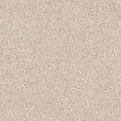 Vliestapete TRENDWALL - beige - 10 Meter -Baumarkt Verkaufsgeschäft 9004551700 03 1600Wx1600H