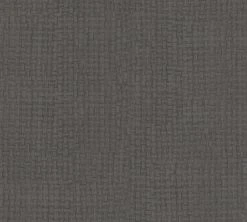 Vliestapete EXOTIC LIFE - grau-schwarz - 10 Meter