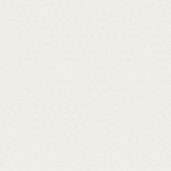 Vliestapete GREENERY - weiß - 10 Meter -Baumarkt Verkaufsgeschäft 9004568600 04 1600Wx1600H