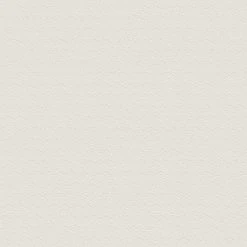 Vliestapete GREENERY - beige-creme - 10 Meter -Baumarkt Verkaufsgeschäft 9004568900 04 1600Wx1600H