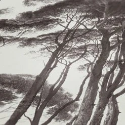 Vliestapete HISTORY OF ART - schwarz-weiß - 10 Meter -Baumarkt Verkaufsgeschäft 9004573200 04 1600Wx1600H