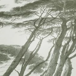 Vliestapete HISTORY OF ART - grün-weiß - 10 Meter -Baumarkt Verkaufsgeschäft 9004573300 04 1600Wx1600H