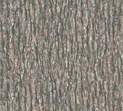 Vliestapete IL DECORO - grau-beige - 10 Meter