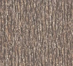 Vliestapete IL DECORO - braun-beige - 10 Meter