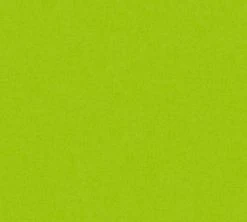 Vliestapete LITTLE STARS - grün - 10 Meter