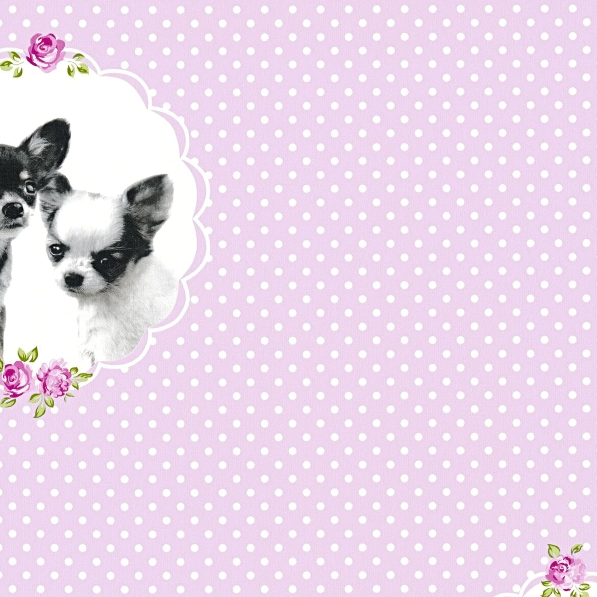 Vliestapete LITTLE STARS - rosa-schwarz - 10 Meter 2 Vliestapete LITTLE STARS - rosa-schwarz - 10 Meter – Bild 2