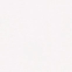 Vliestapete MEISTERVLIES 2020 - weiß - 25 Meter