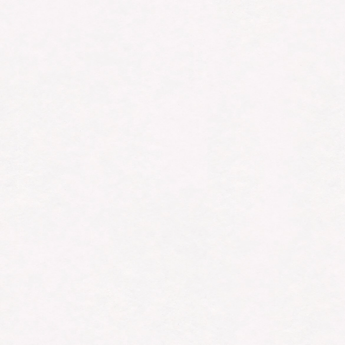 Vliestapete MEISTERVLIES 2020 - weiß - 25 Meter 1 Vliestapete MEISTERVLIES 2020 - weiß - 25 Meter