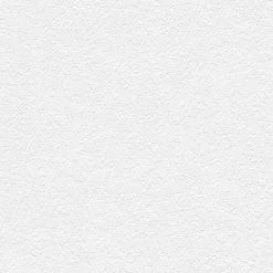 Vliestapete MEISTERVLIES 2020 - weiß - 10 Meter