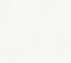 Vliestapete MEISTERVLIES 2020 - weiß - 10 Meter