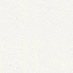 Vliestapete MEISTERVLIES 2020 - weiß - 25 Meter -Baumarkt Verkaufsgeschäft 9004595900 04 1600Wx1600H