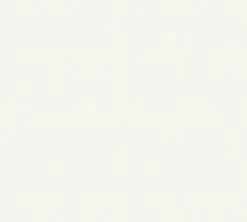 Vliestapete MEISTERVLIES 2020 - weiß - 25 Meter