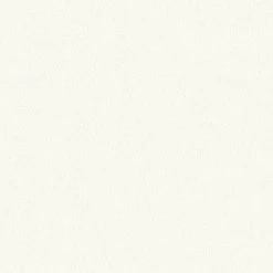 Vliestapete MEISTERVLIES 2020 - weiß - 21 Meter