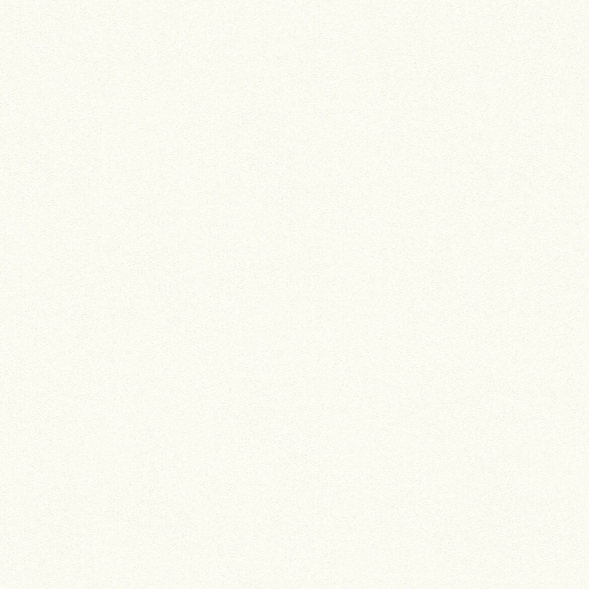 Vliestapete MEISTERVLIES 2020 - weiß - 21 Meter 2 Vliestapete MEISTERVLIES 2020 - weiß - 21 Meter – Bild 2